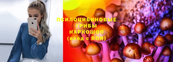 МДПВ Абинск