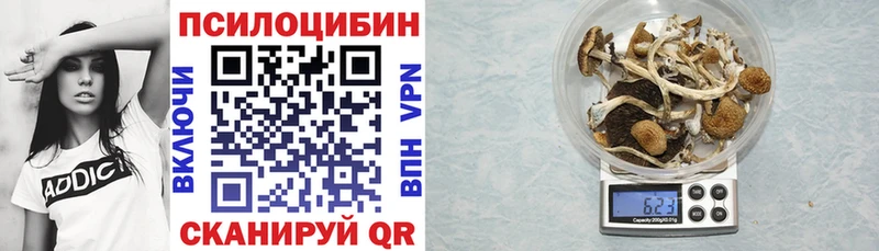 продажа наркотиков  Одинцово  ОМГ ОМГ зеркало  Галлюциногенные грибы Psilocybine cubensis 
