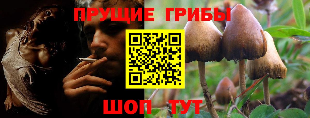 Галлюциногенные грибы прущие грибы  Вход с VPN  Галлюциногенные грибы мицелий  Одинцово 